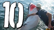 10 najgłupszych śmierci - nagrody DARWINA 8 [TOPOWA DYCHA]