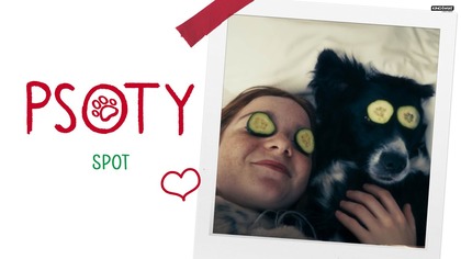 PSOTY | Przyjaźń ma cztery łapy! | Kino Świat