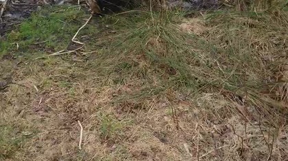 stan czystości po zimie...