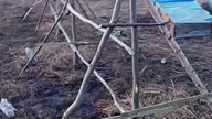 Skończyłem ogrodzenie 