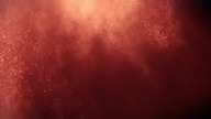 Beast of War [2025] [Lektor PL] wojenny