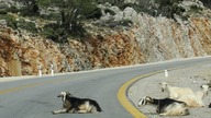Kreta Crete Samaria - górskie oblicze Krety.