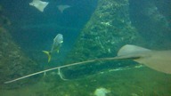 AFRYKARIUM WROCŁAW 13 08 2023 (9)