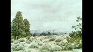 Pojedynek ranczerów 1955 lektor pl