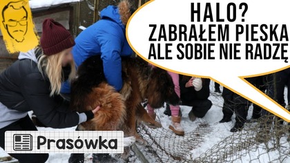 Ludzie już zwracają psy zabrane z Sobolewa | Przegląd Idei #201 (26. 01. 2026)