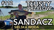#112 Sandacz na methodę.  Sielska Woda zaskoczyła