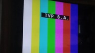 TVP2 HD - Rozpoczęcie programu z 09. 06. 2019r.
