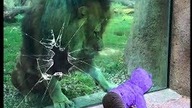 Momenty w Których Szkło Prawie Pękło