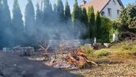Jak szybko pali sie tuja