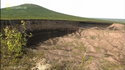 Mamut reaktywacja (2013) [Lektor PL]