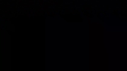 12H Black Screen Forest River Ambience  Deep Sleep & Insomnia Relief