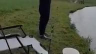 jak walczy amur