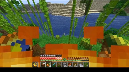 I guessed that a zombie set me on fire, but I didnt know it was a baby zombie #minecraft #game