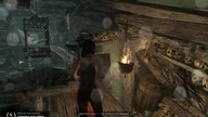 Tomb Raider 02