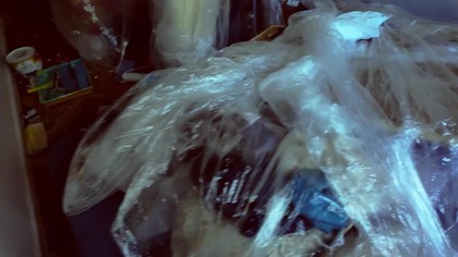 Pojechaliśmy po KOTA, a przy okazji zdobyliśmy GÓRĘ!  (Łysica & Nowy członek studia)