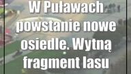 W Puławach powstanie nowe osiedle.  Wytną fragment lasu