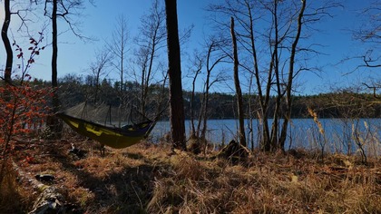 Lakeside Serenity: Early Spring Birds and Gentle Forest Breeze