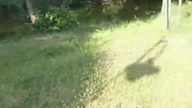 Konspiracja.  To nie PRL akcja się dzieje dzisiaj...  TIR bigosu