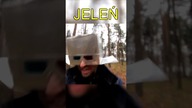JELEŃ #shorts