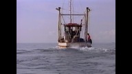 Flipper....Hogan..VID-1740248585862