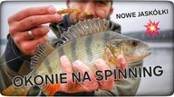 OKONIE NA SPINNING // NOWE JASKÓŁKI // 2024