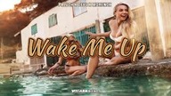Paluch x Deys x Morenox - Wake Me Up (Vixiara Blend)