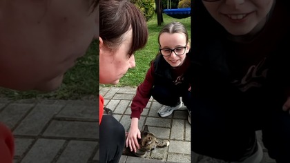   KLIKNIJ WYŻEJ   Kot #fikimikiagatkiimoniki