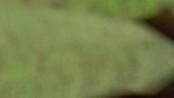 Dr Quinn s05e20 Lektor PL