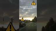 Wyprzedzanie na przejściu dla pieszych #shorts #rikordwidjo
