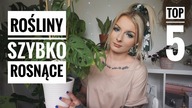 TOP 5 - Rośliny SZYBKO ROSNĄCE
