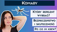 Komary: co je odstrasza i po co piją krew? Bezpieczeństwo i skuteczność repelentów.
