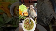 Danie jak w restauracji, pies się cieszy