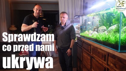 Tego nie zobaczysz w normalnym akwarium Łukasz Kaczmarek