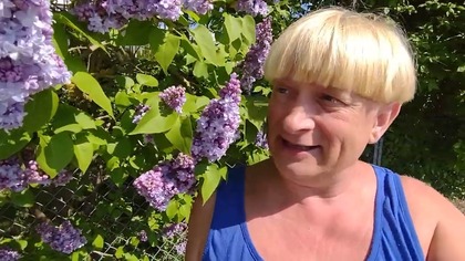 Bez niebieski i fioletowy - Gracjan Roztocki