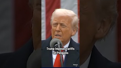 Trump Imposes Tariffs On The Penguins