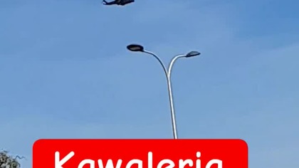 Święto Wojska Polskiego