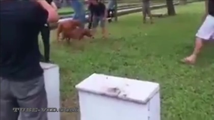 WTF kompilacja kwiecien 2015 