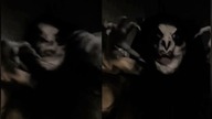 5 Paranormalnych KTÓRE PRZYŚPIESZĄ BICIE TWOJEGO SERCA!