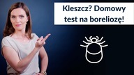 Co zrobić, gdy ukąsi Cię kleszcz?