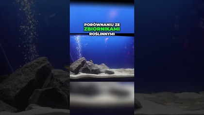 Roślinne czy może jednak nie ?