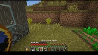 More flowers #minecraft #Short #Shorts #Game #Plants #Home #House