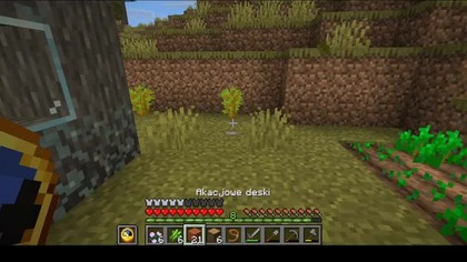 More flowers #minecraft #Short #Shorts #Game #Plants #Home #House