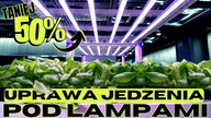 Lampa Pulsacyjna HORTI 2 LN od Perfandled | Unmopsing & Specyfikacja