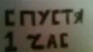 Rosyjska mistrzyni kocich ruchów