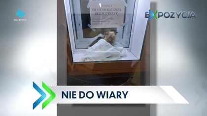 TTV - 28-12-2024 - Sponsorzy, Pogoda, Zapowiedź