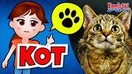 Kot  film edukacyjny dla dzieci  Rasy kotów, historia kota domowego i kocie zmysły | Kamlotki