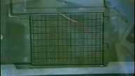 SONDA - Bateria