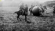 HISTORIA AMERYKI W KOLORZE 2 ODC.  4 - DZIKI ZACHÓD . lektor.pl
