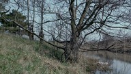 Wallander (SWE) S02E07 Przeciek (2009) Lektor PL 1K