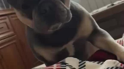 Wstawaj i na spacer.